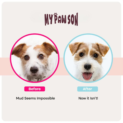 MyPawSon QuickClean Gloves Pro (2 Pack)