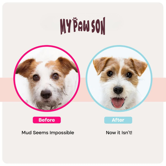 MyPawSon QuickClean Gloves Pro (2 Pack)