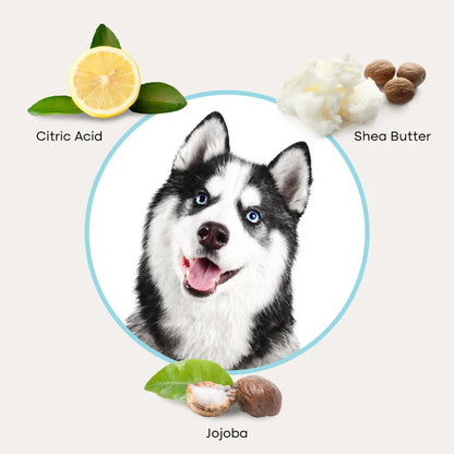 MyPawSon QuickClean Gloves Pro (2 Pack)