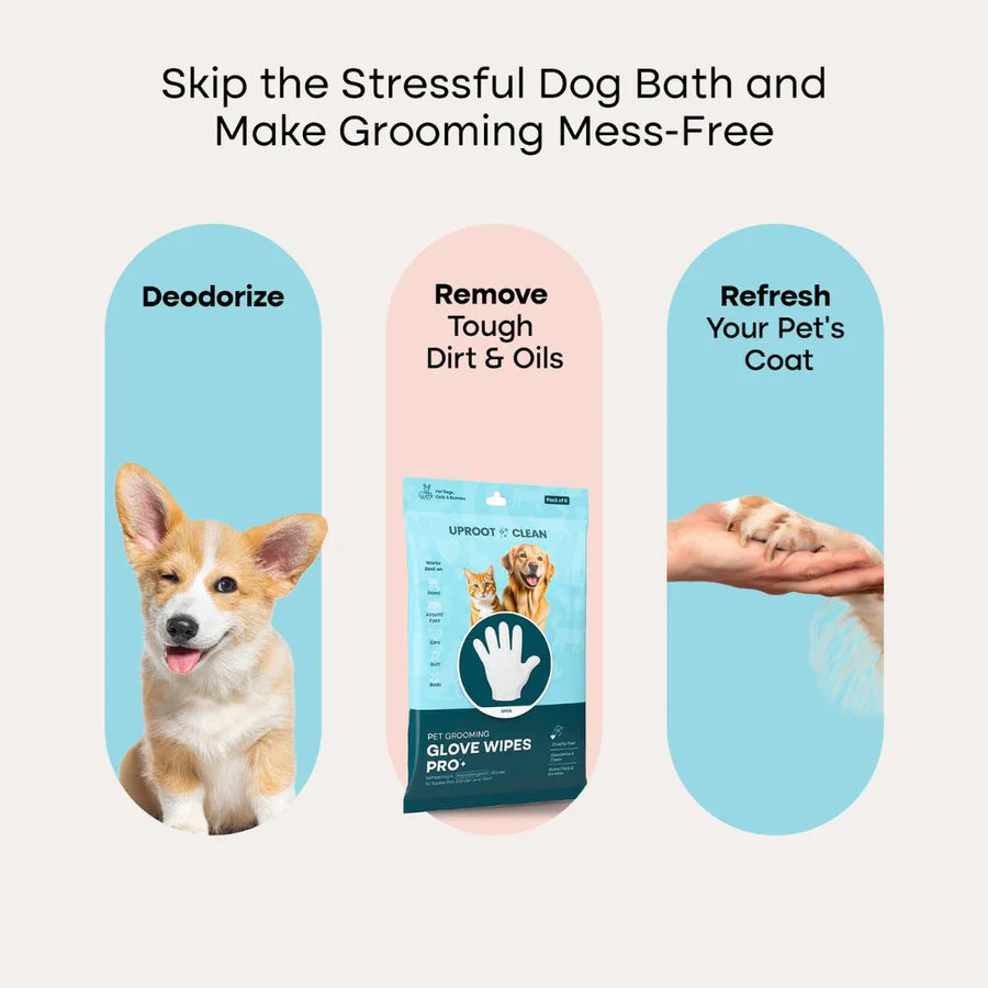 MyPawSon QuickClean Gloves Pro (2 Pack)