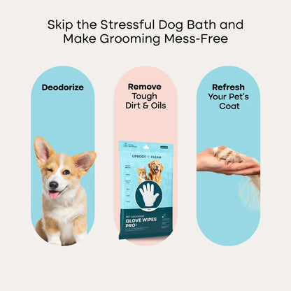 MyPawSon QuickClean Gloves Pro (2 Pack)