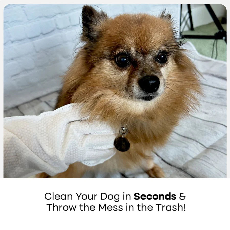 MyPawSon QuickClean Gloves Pro (2 Pack)